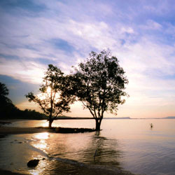 在线电话轰炸机